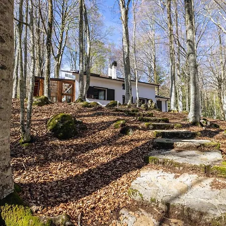 La Corteccia Del Faggio 3* Monte Amiata