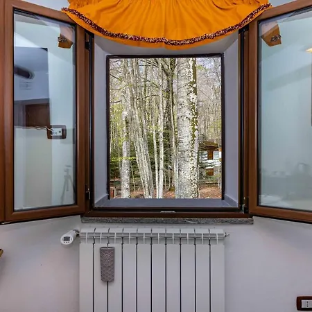 La Corteccia Del Faggio