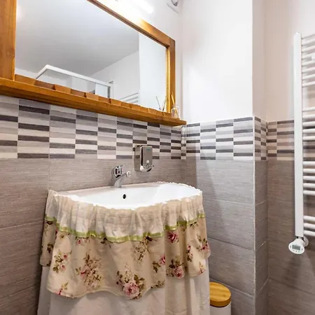 La Corteccia Del Faggio