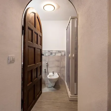 La Corteccia Del Faggio