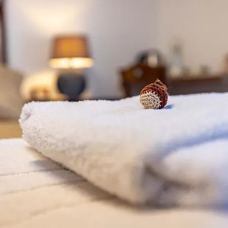 La Corteccia Del Faggio 3* Monte Amiata