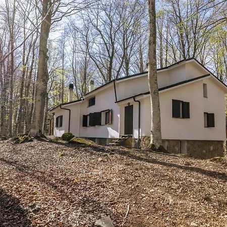 Frühstückspension La Corteccia Del Faggio Monte Amiata