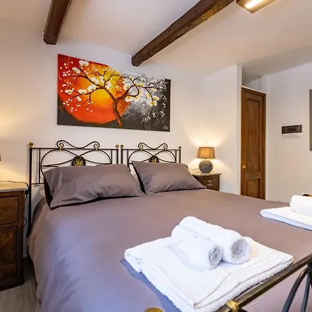 La Corteccia Del Faggio