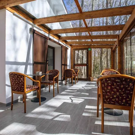 La Corteccia Del Faggio