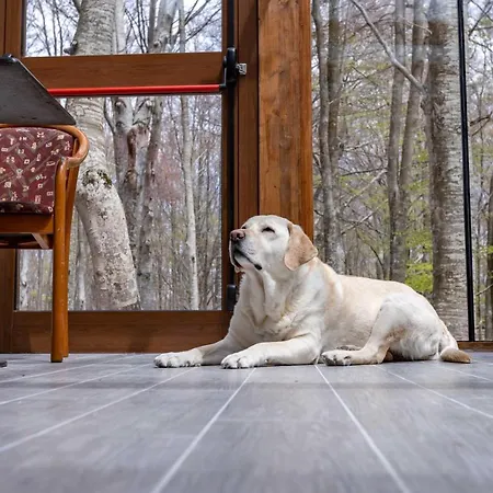La Corteccia Del Faggio 3* Monte Amiata