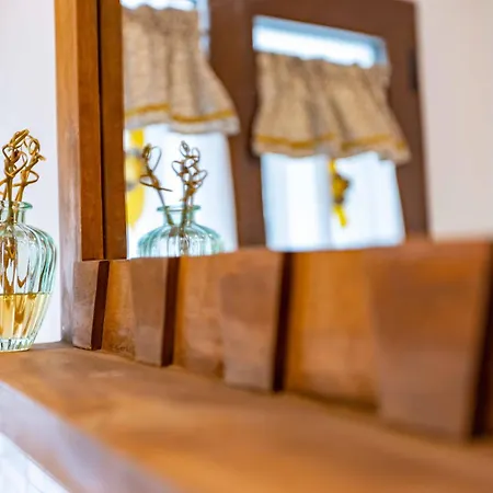 La Corteccia Del Faggio