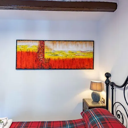 La Corteccia Del Faggio Monte Amiata