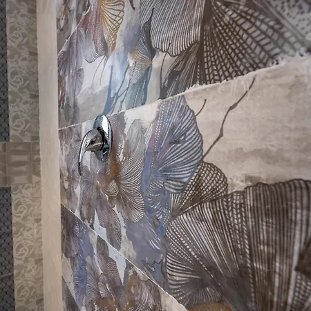 La Corteccia Del Faggio