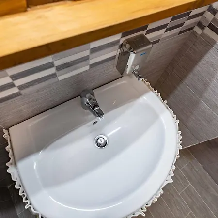 La Corteccia Del Faggio