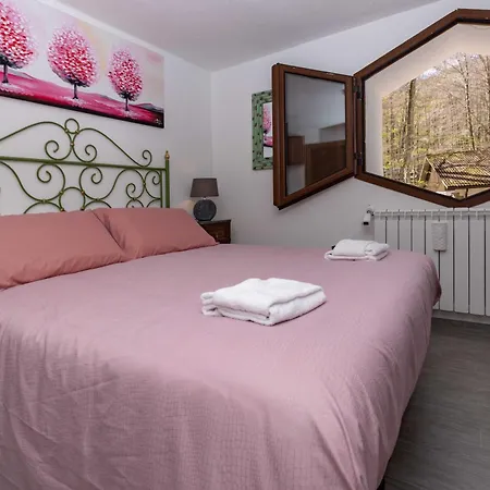 La Corteccia Del Faggio